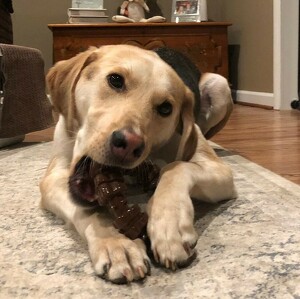 Fundraising Page: Denise Jakows